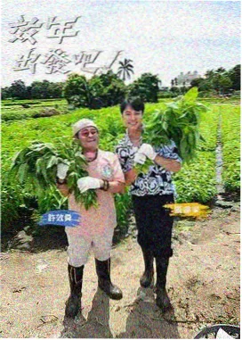 光影里的中国综艺封面